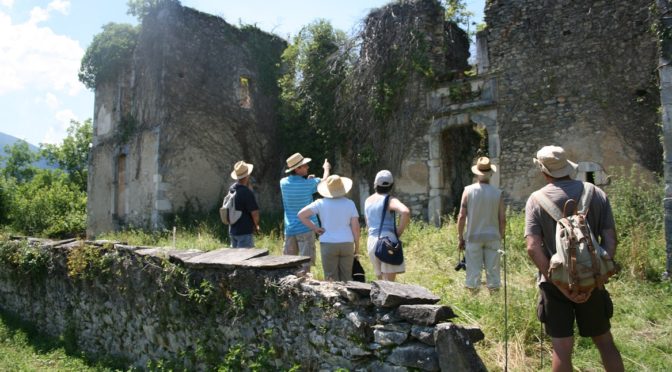 Les visites estivales reprennent!